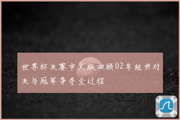 世界杯决赛中文版回顾02年经典对决与冠军争夺全过程