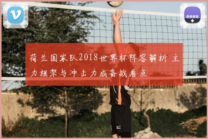 荷兰国家队2018世界杯阵容解析 主力框架与冲击力成备战看点
