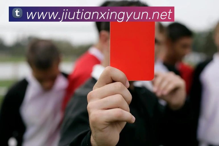 千亿球友会官方平台平台生态图